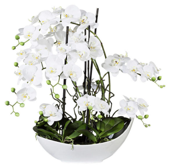 KUNSTPFLANZE Orchidee von MID.YOU