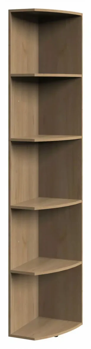 ABSCHLUSSREGAL Buchefarben von XORA